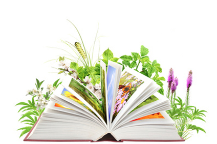 Voyages littéraires