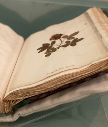 Une heure, une &oelig;uvre - l'herbier de George Sand - festival Chapitre Nature - Argenton-sur-Creuse